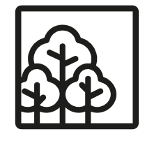 Reforestaciones