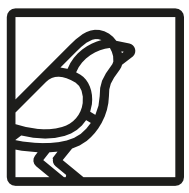 Avistamiento de aves